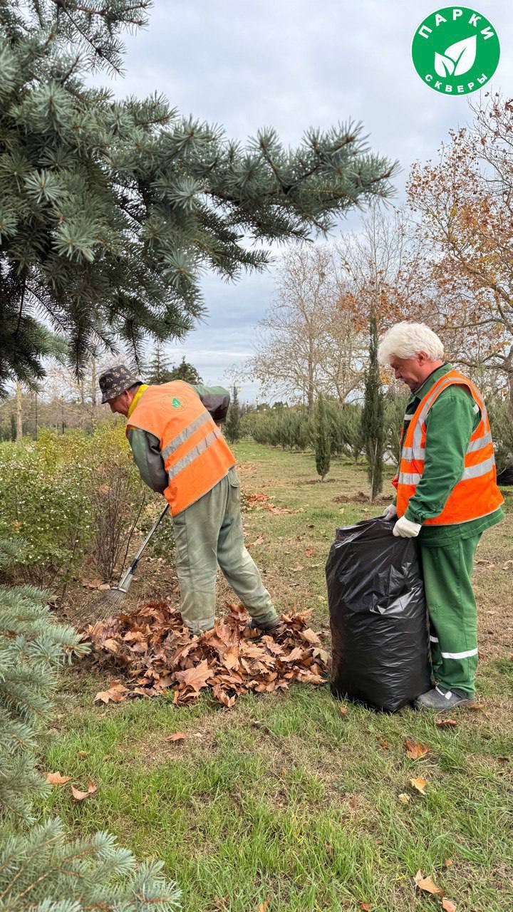 Прогулки по зимнему городу прекраснее благодаря сотрудникам «Парков и скверов» Прогулки по зимнему городу прекраснее благодаря сотрудникам «Парков и скверов»