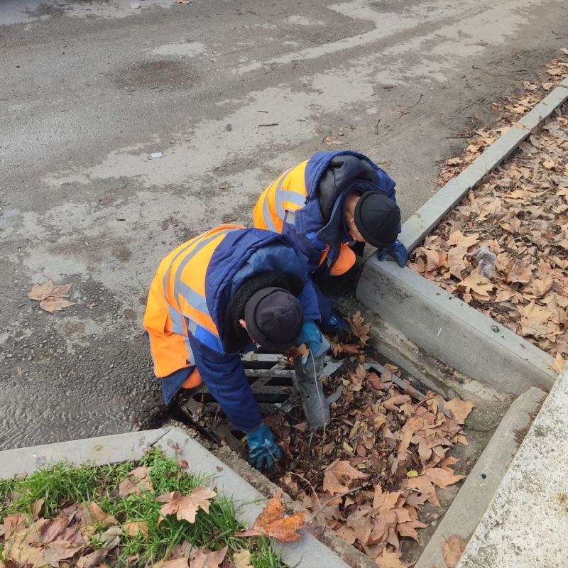 ���������: ������� �������. ����������� ����