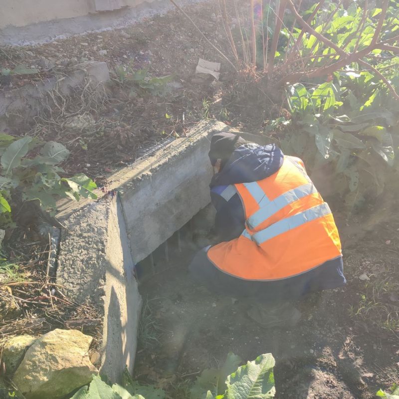 ���������: ������� �������. ����������� ����