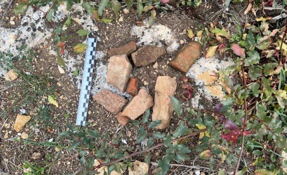 � ����������� ����� ����� ���������� ������� �� ����������� ������� �������