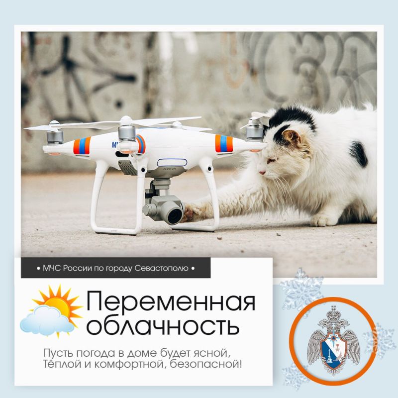 ������ ����, �����������!. �� ������ ��������������, 4 ������� � ����������� ����� ���������� ����������