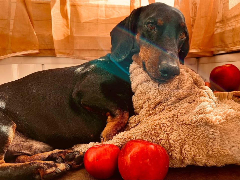 �� ������ ����. � �������� ��� ��� � ����� 22-��, �� ����� ������ ���������