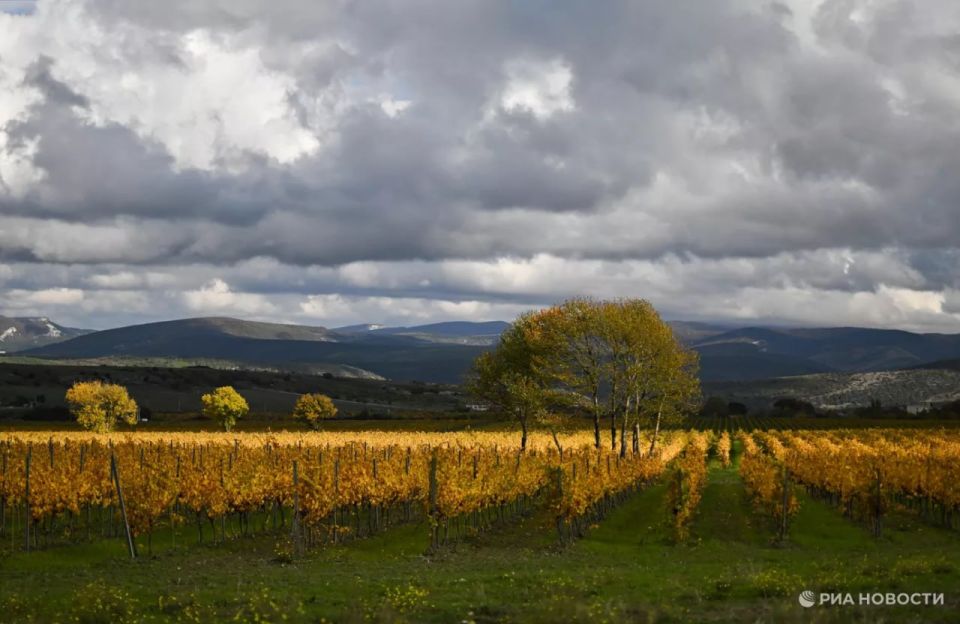 Прогноз погоды в Крыму на пятницу