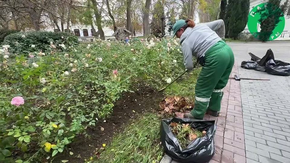 �� ���������� �������� ���������� ������� � ������� ������� ����������� ���� �� ��������