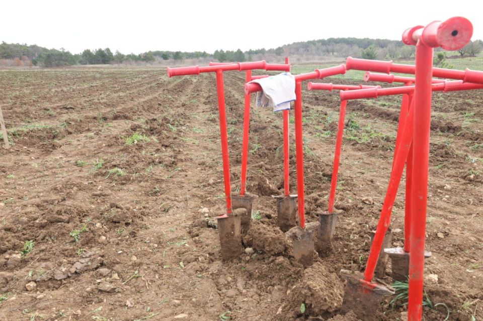 ����������� ���� ����������� ��������� ������������� ����� ��������� ���!