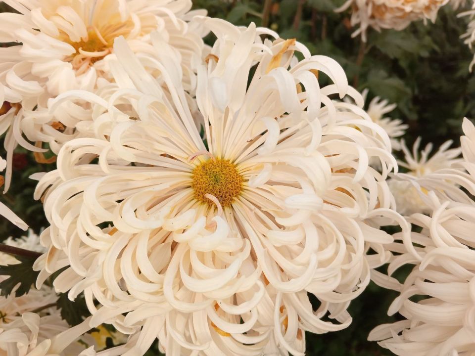 � ������ �����, ������!. � ����������� ��� �������