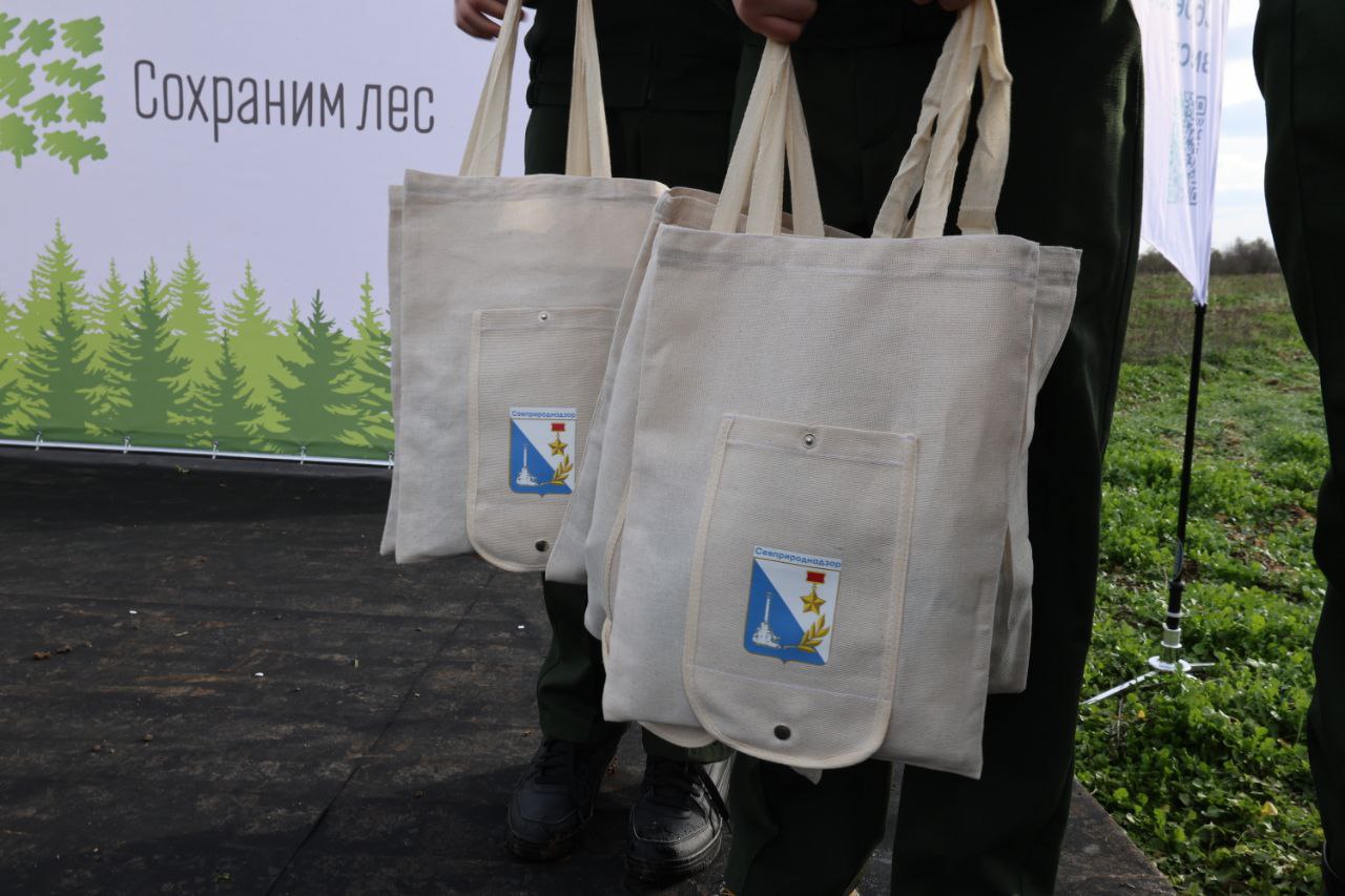 Севастополь стал центральной площадкой всероссийской акции «Сохраним лес»!