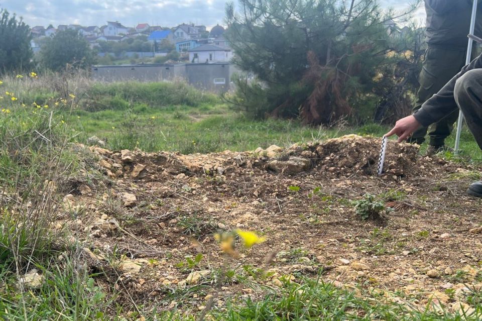 ������ ������ ������� ����������� ��� ����� �����������