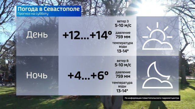 ������ ����, �������������!