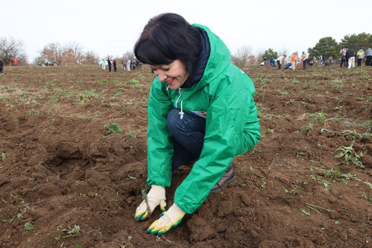 Севастополь стал центральной площадкой всероссийской акции «Сохраним лес»! Севастополь стал центральной площадкой всероссийской акции «Сохраним лес»!