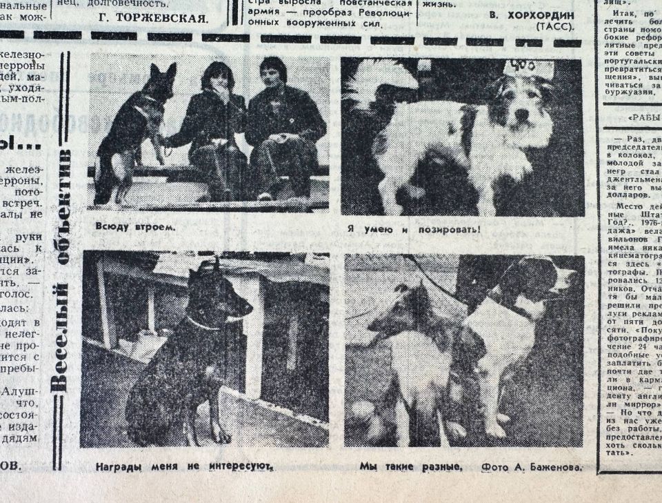 ������� ��������. ������� �� ������ ������ ������������ � ������������ �������� ��������, ������� 1976 ����