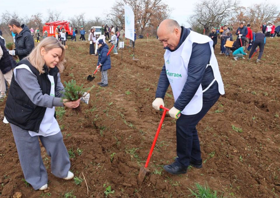 ����������� ���� ���������, 89-� �������� ������, ���������������� � ������������� ����� ��������� ���