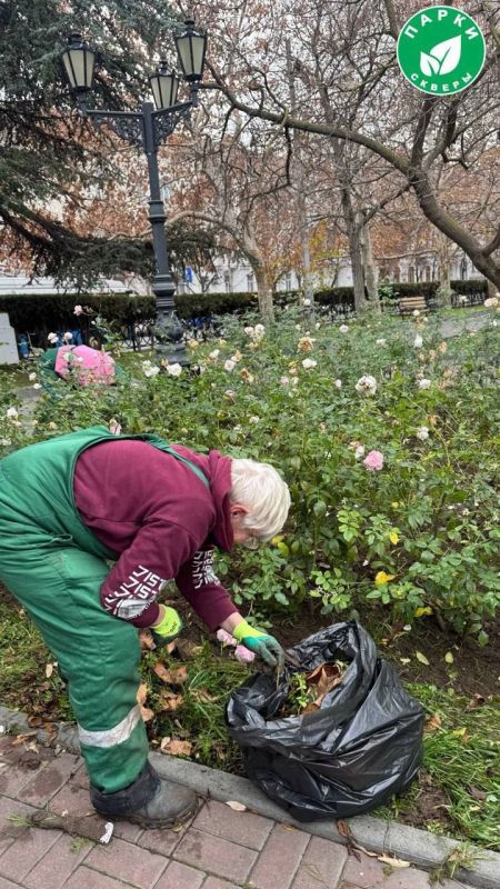 �� ���������� �������� ����������� ������� � ����