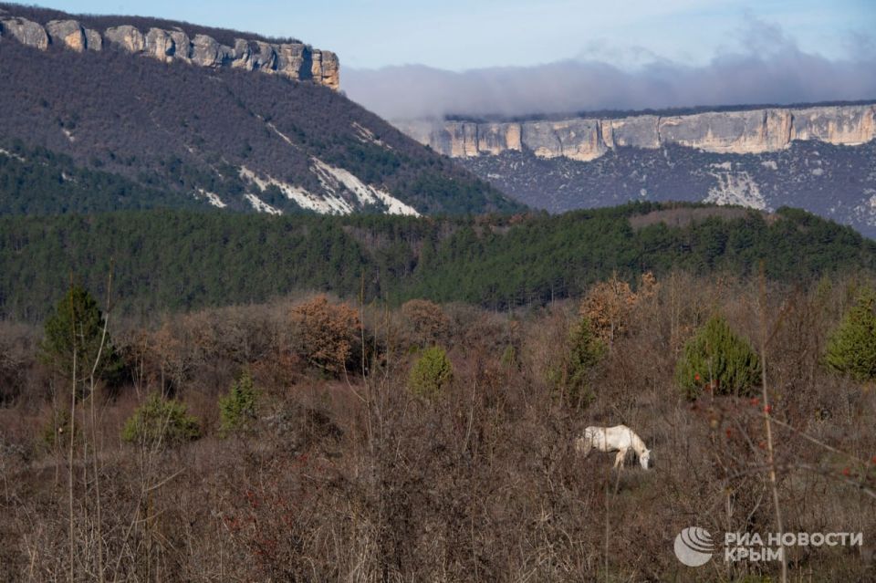 ������� ������ � ����� �� �������