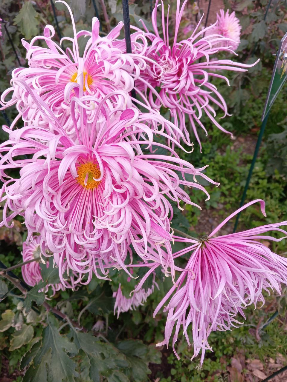 С добрым утром, друзья!. В Севастополе без осадков С добрым утром, друзья!. В Севастополе без осадков