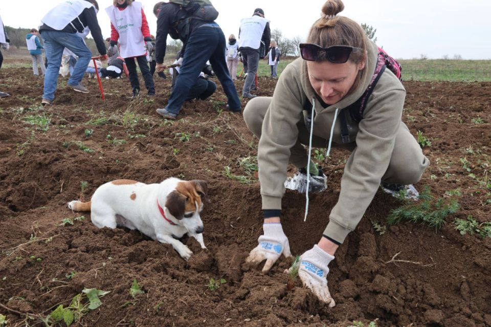 ����������� ���� ����������� ��������� ������������� ����� ��������� ���!