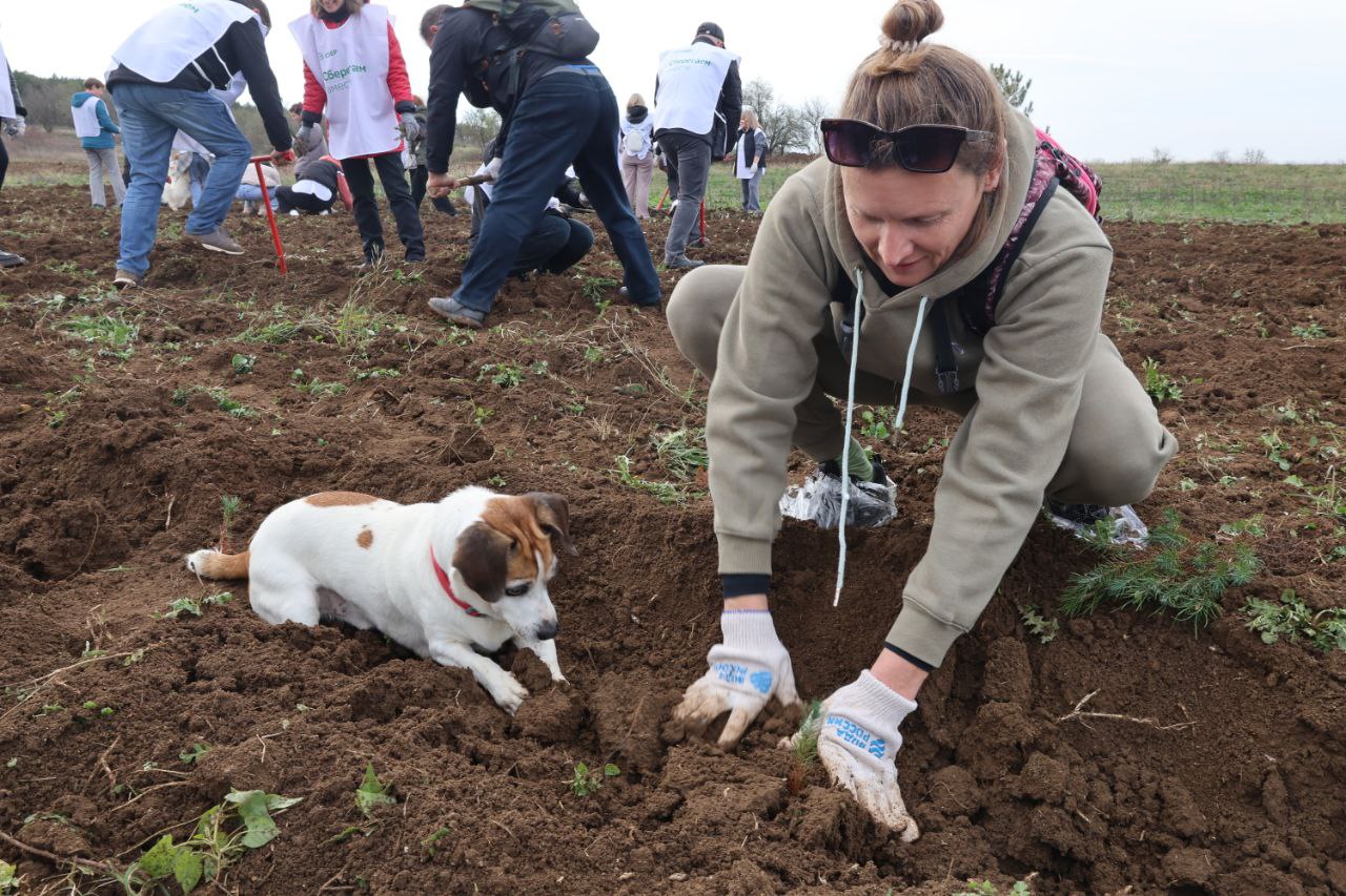 Севастополь стал центральной площадкой всероссийской акции «Сохраним лес»! Севастополь стал центральной площадкой всероссийской акции «Сохраним лес»!