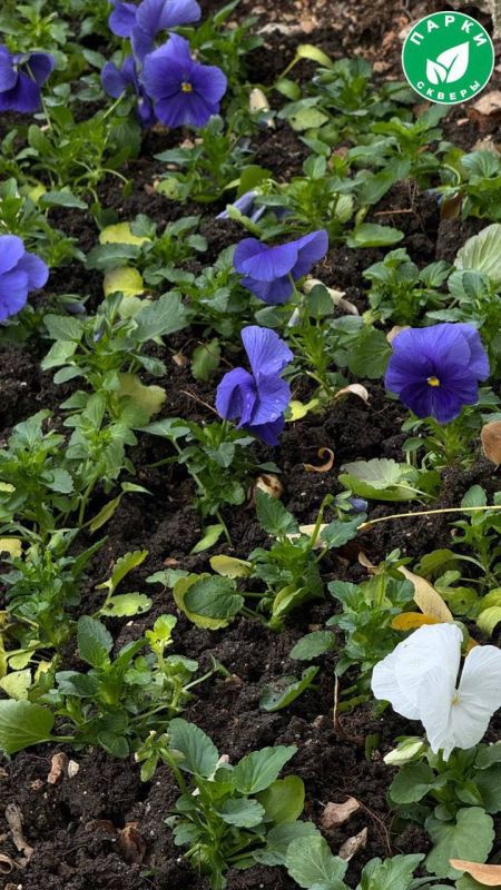 �� ���������� �������� ���������� ������� � ������� ������� ����������� ���� �� ��������