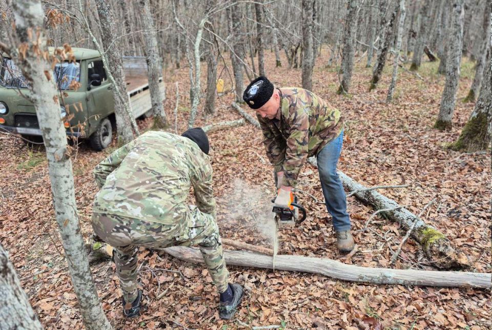 ������� �����: ������ � ������ ������������ �� ����������� �������, ����������� ������������� �������� ����������, �������� ���������� ������, ����������� ���, ����� ����������� � ������������� �������� ���������� ������...