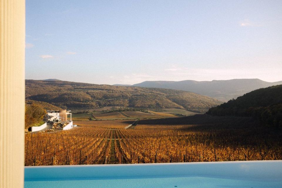 ��������������� ���������� AYA URBAN WINERY ����� ����������� ������������� ������ Russian Traveler Awards 2025