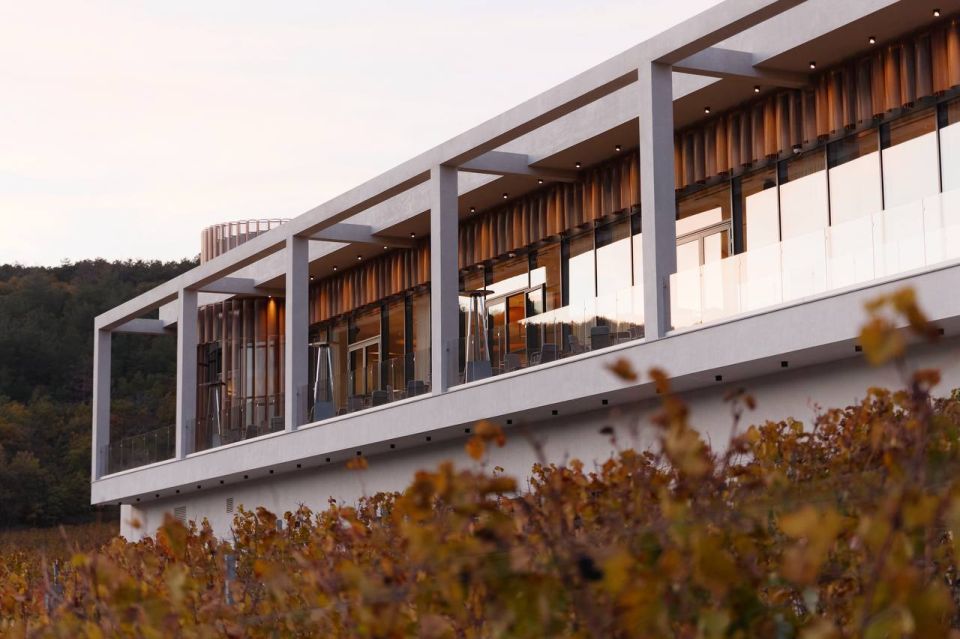 ��������������� ���������� AYA URBAN WINERY ����� ����������� ������������� ������ Russian Traveler Awards 2025