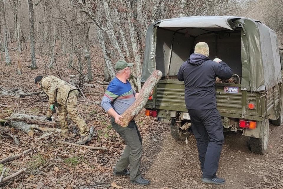 ������� �����: ������ � ������ ������������ �� ����������� �������, ����������� ������������� �������� ����������, �������� ���������� ������, ����������� ���, ����� ����������� � ������������� �������� ���������� ������...