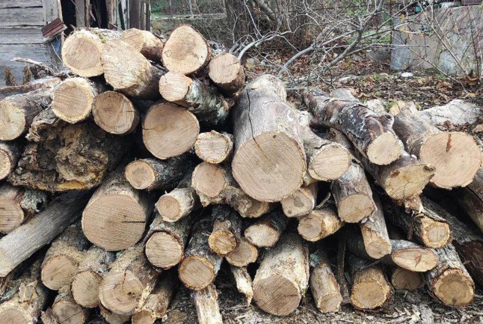 ������� �����: ������ � ������ ������������ �� ����������� �������, ����������� ������������� �������� ����������, �������� ���������� ������, ����������� ���, ����� ����������� � ������������� �������� ���������� ������...