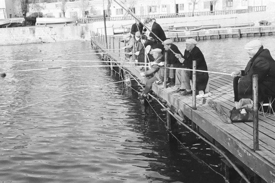 ������ �� ���������� ���������, 1968 ���