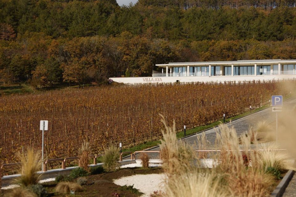 ��������������� ���������� AYA URBAN WINERY ����� ����������� ������������� ������ Russian Traveler Awards 2025