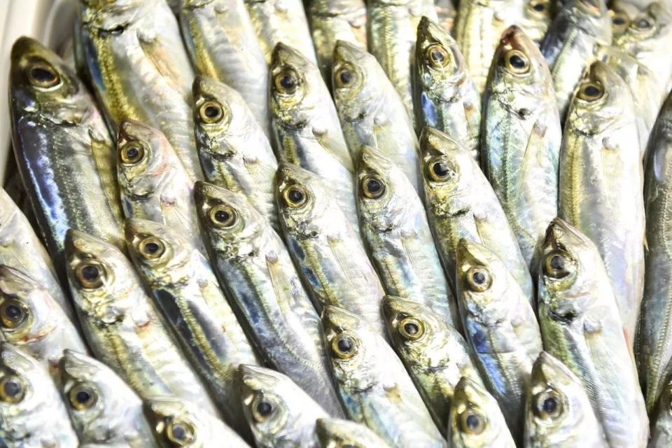 ������������� ������ 18 ���� ���� �� �������� "������ ����" � ������ ����