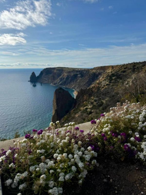 ������ �� 7 �������:. � ���������� ����������, �������� �����