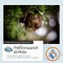 Доброе утро, Севастополь!. По данным гидрометцентра, 8 декабря в Севастополе будет облачно