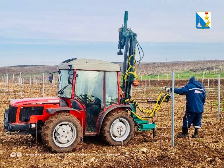 � ���� ���� ��������������� ������� �������� 264 ������� ����� �������������