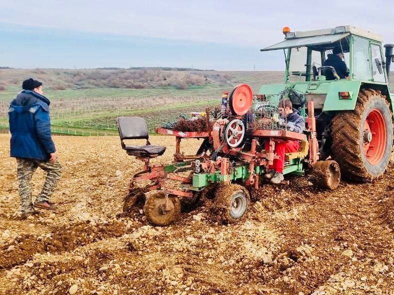 � ���� ���� ��������������� ������� �������� 264 ������� ����� �������������