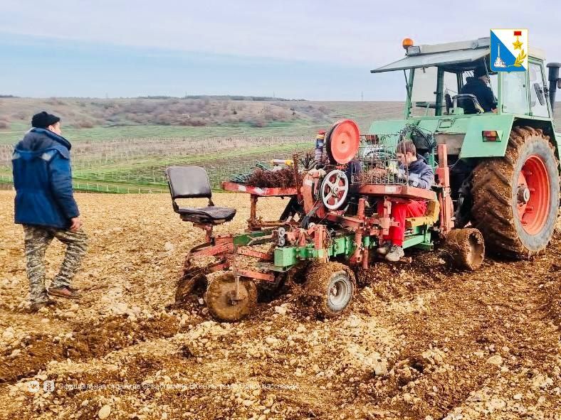 � ���� ���� ��������������� ������� �������� 264 ������� ����� �������������