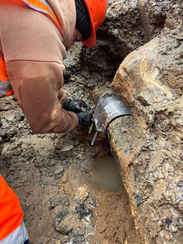 ���������: ��������-���������������� ������ � ������ ����������� ���