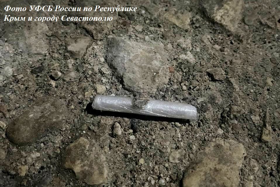 Закладчица в Севастополе получила 8 лет за наркотики погибшего друга Закладчица в Севастополе получила 8 лет за наркотики погибшего друга