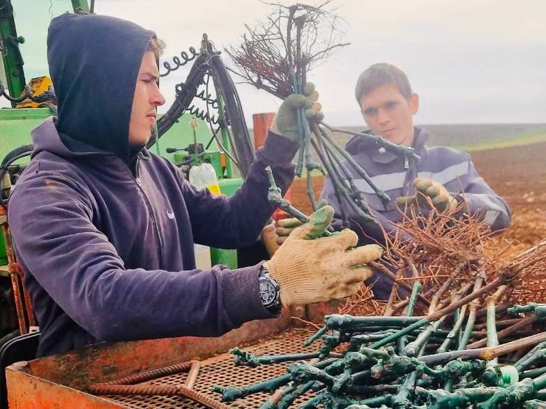 � ���� ���� ��������������� ������� �������� 264 ������� ����� �������������