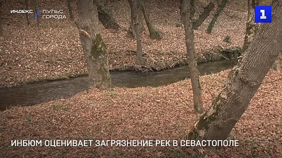 ИНБЮМ оценивает загрязнение рек в Севастополе