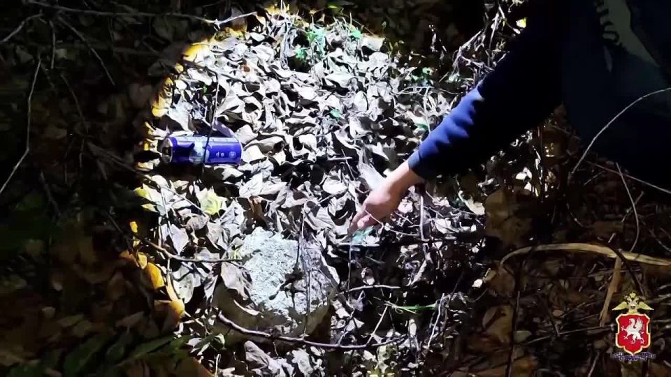 ������ ������-������������, ���������� ��� ����� ����� 1 �� ����������, �������� �������� �����������