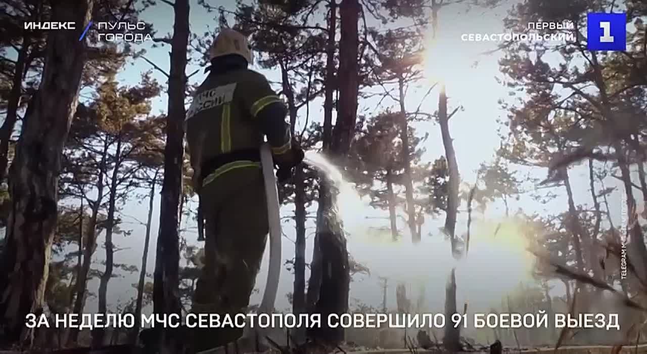 Подразделения МЧС Севастополя совершили 91 боевой выезд за прошлую неделю