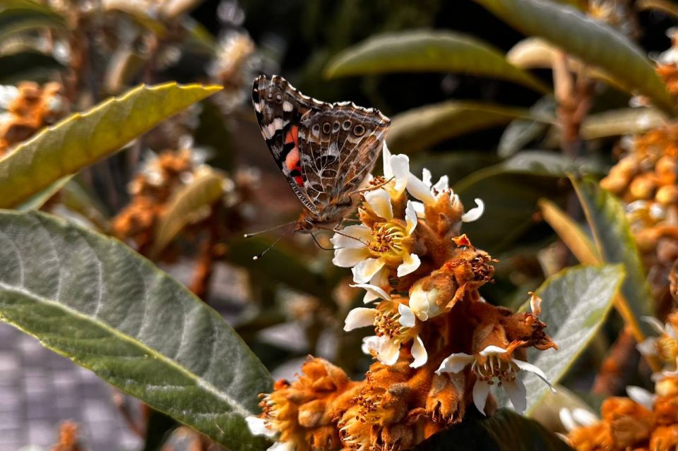 � ������ �����, ������!. � ����������� ���� �����