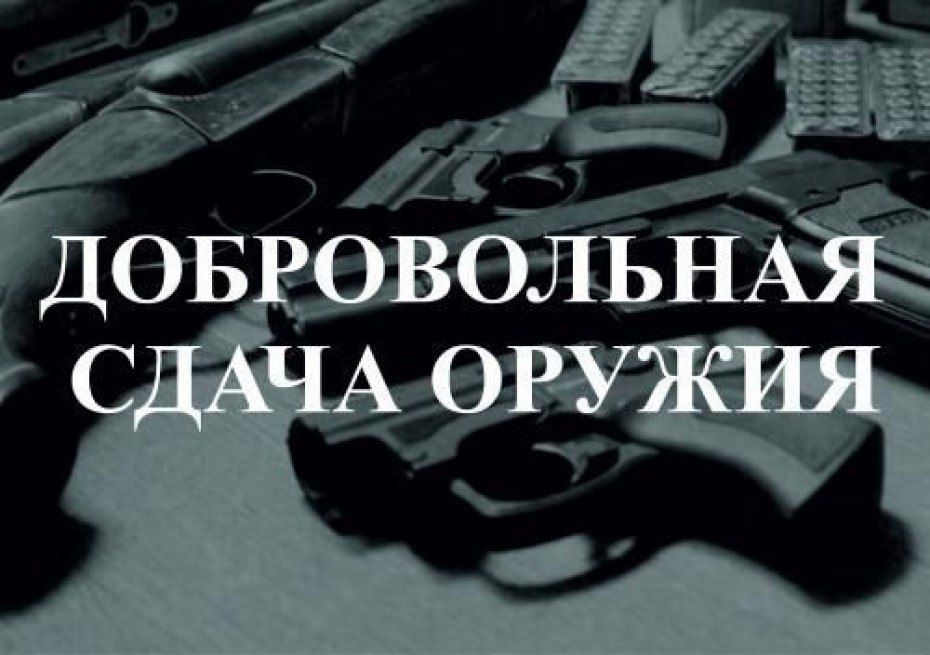 Добровольная сдача оружия: получите денежное вознаграждение!
