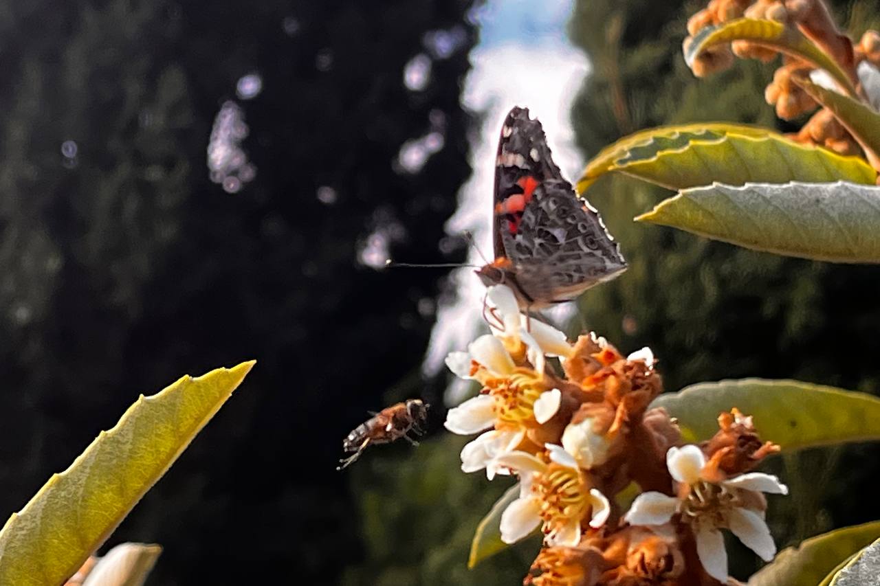 С добрым утром, друзья!. В Севастополе днем дождь С добрым утром, друзья!. В Севастополе днем дождь