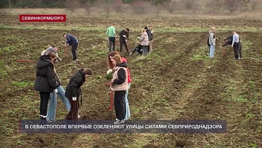 В Севастополе впервые озеленяют улицы силами Севприроднадзора