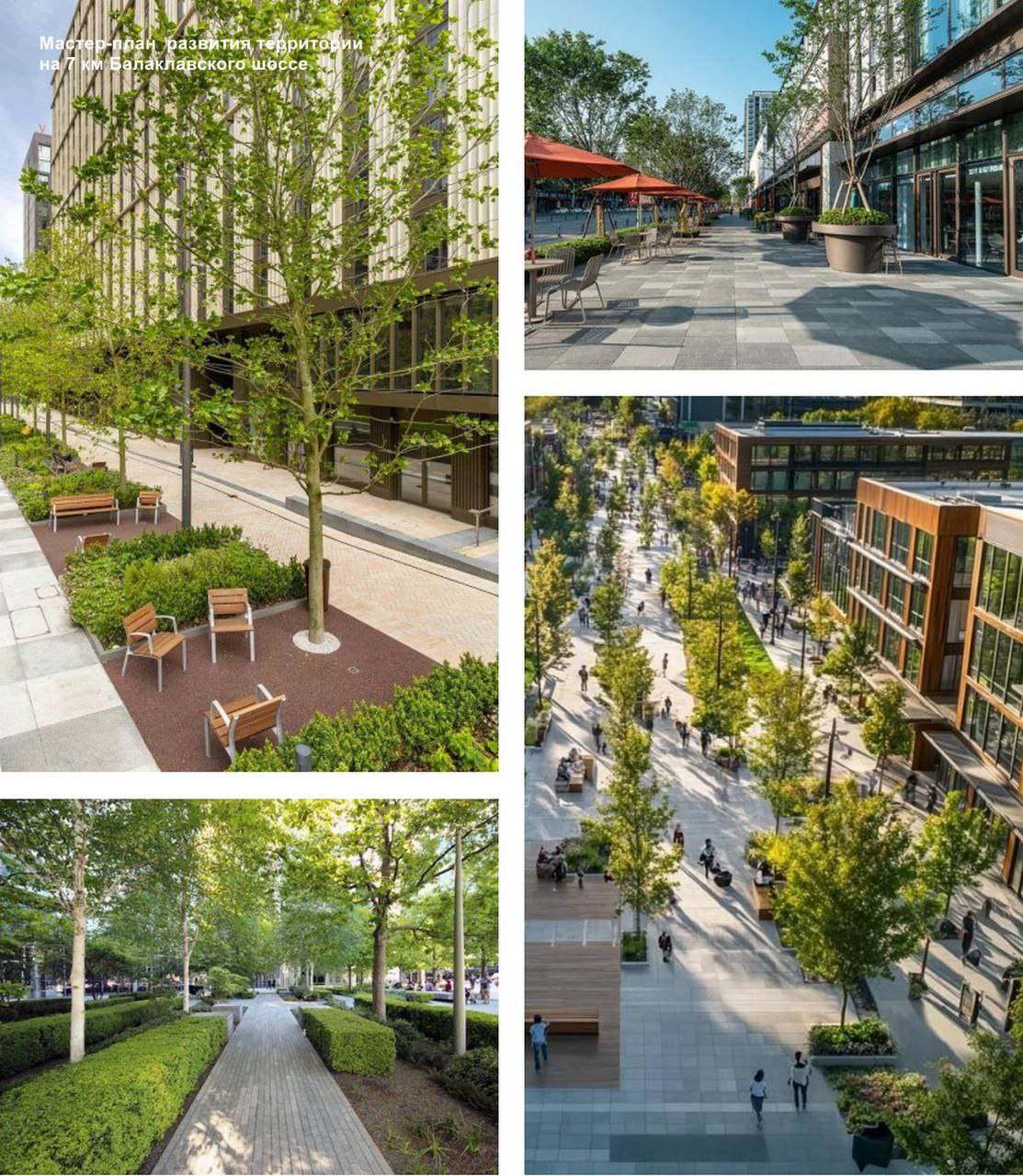 На заседании градостроительного совета Севастополя обсудили ключевые проекты развития города На заседании градостроительного совета Севастополя обсудили ключевые проекты развития города