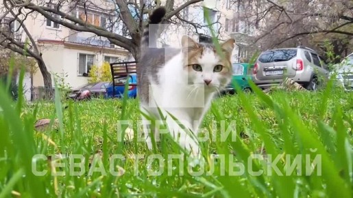 Сотрудники Госжилнадзора проинспектировали подъезд МКД № 3 на ул. Генерала Хрюкина – проверка прошла по обращениям жителей