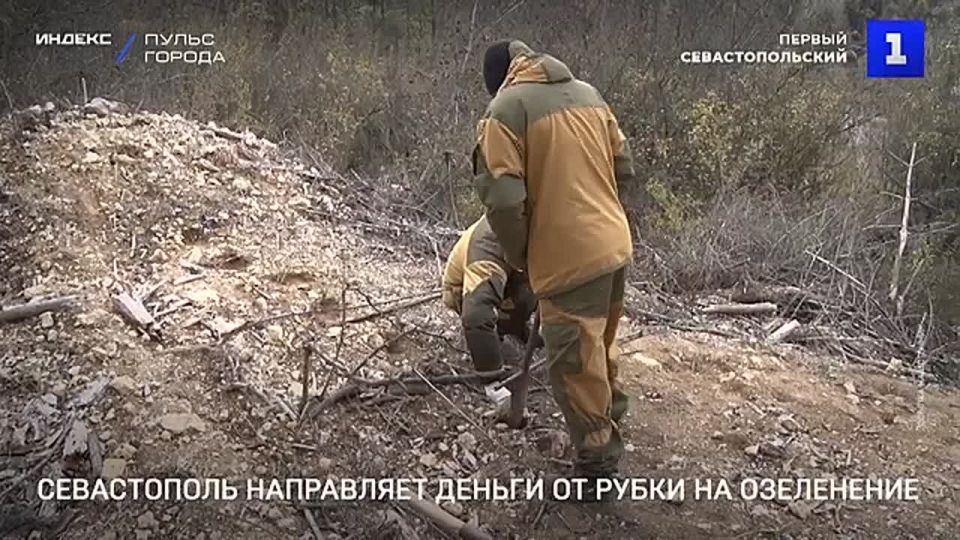 ����������� � ���� �� ������ �������� ������, ������� ���� ������������ �������� �� ���������� ������� �� ���������� ������� �����