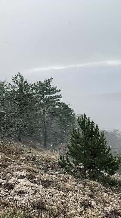 �� ��-����� ����� ������ ����