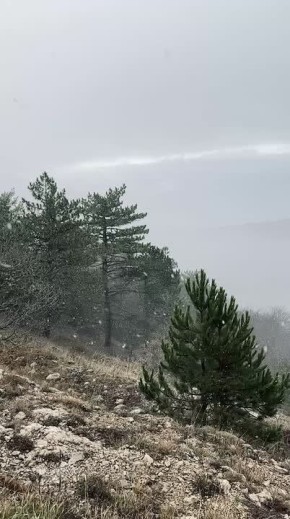 На Ай-Петри выпал первый снег